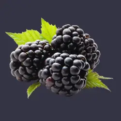 Blackberries