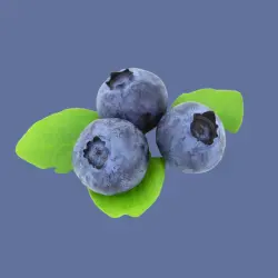 Blueberries