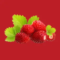 Wild strawberries